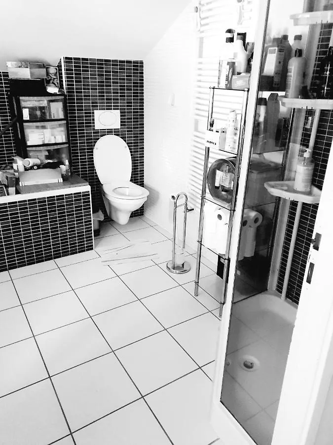 Chez Germaine Apartment Lourdes